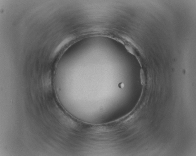 X0000074291450200609081840