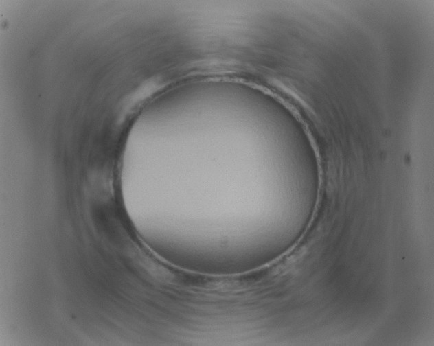 X0000074291451200609081840