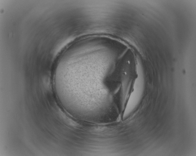 X0000074291452200609081840