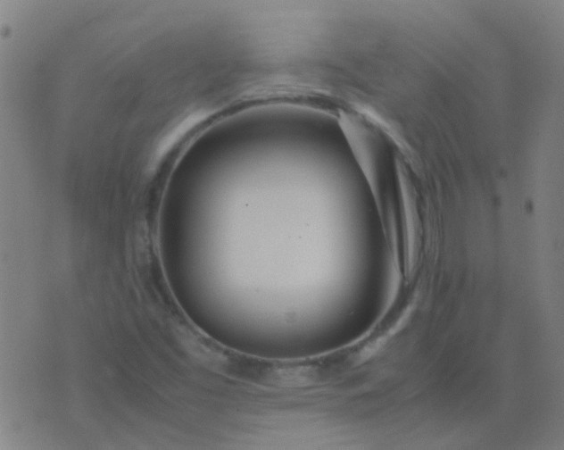 X0000074291453200609081840