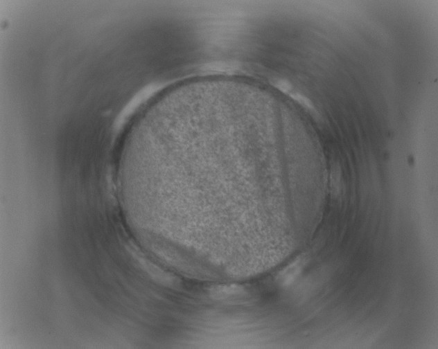 X0000074291454200609081840