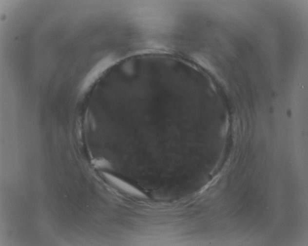 X0000074291455200609081840