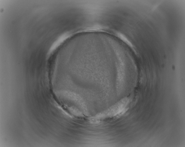 X0000074291456200609081840