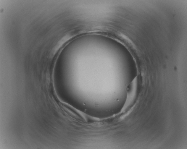 X0000074291457200609081840