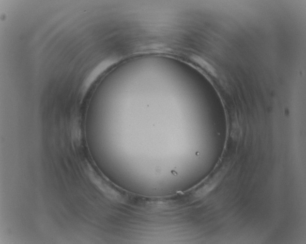 X0000074291458200609081840