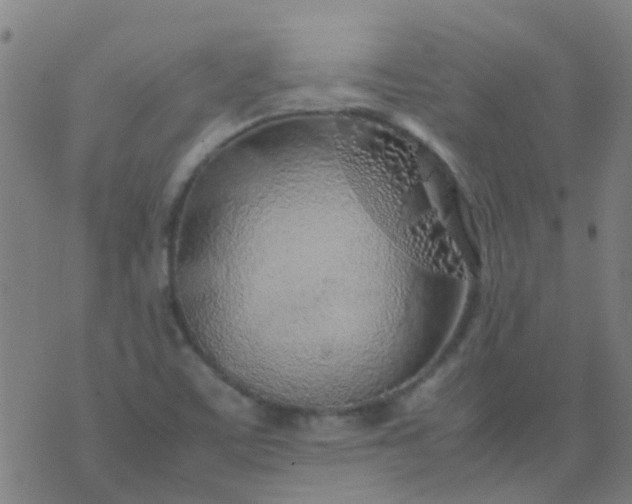 X0000074291459200609081840