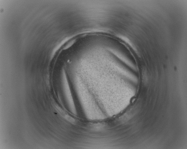 X0000074291460200609081840