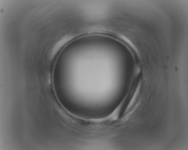 X0000074291461200609081840