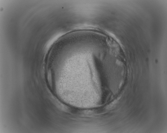 X0000074291463200609081840