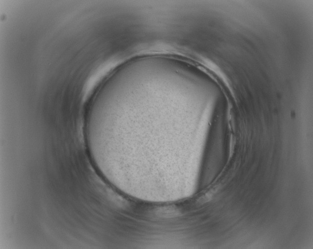 X0000074291464200609081840