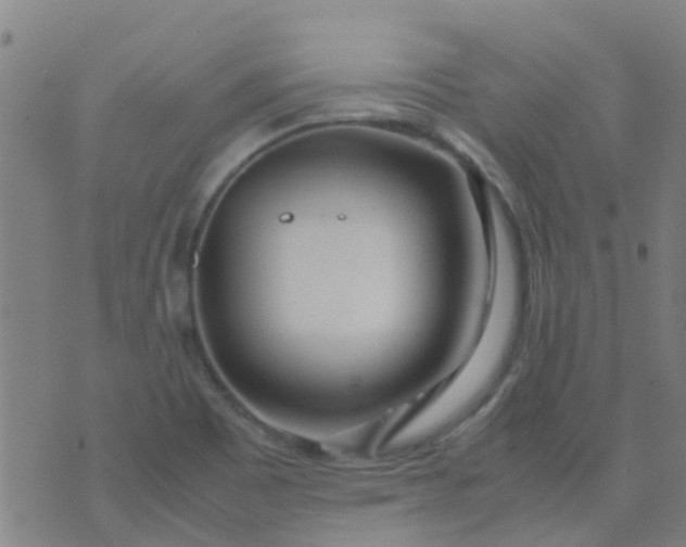 X0000074291465200609081840