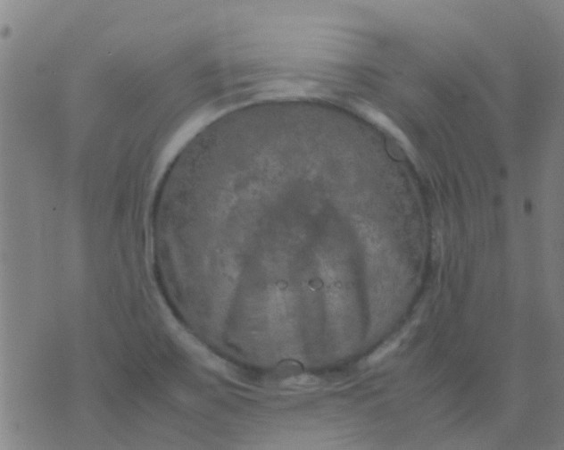 X0000074291467200609081840