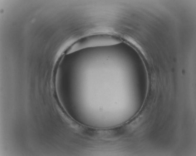 X0000074291469200609081840