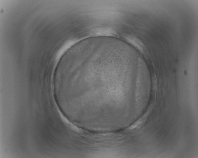 X0000074291471200609081840