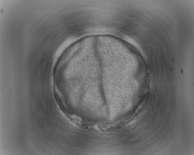 X0000074291472200609081840