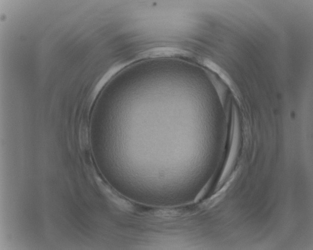 X0000074291473200609081840