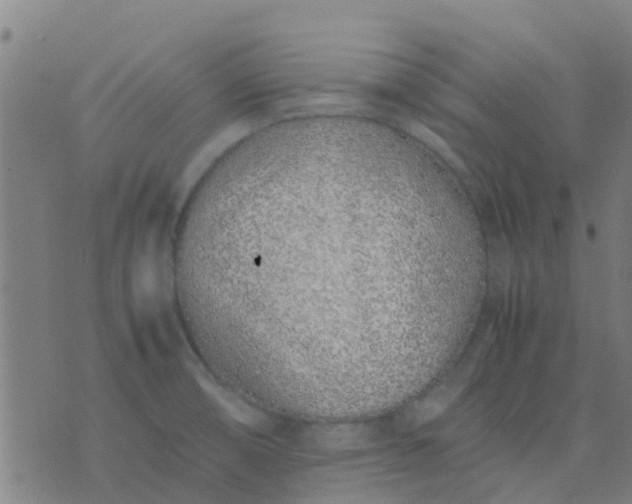 X0000074291474200609081840