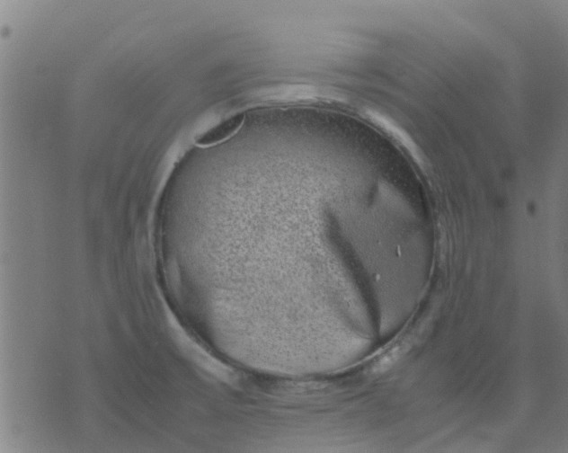 X0000074291475200609081839