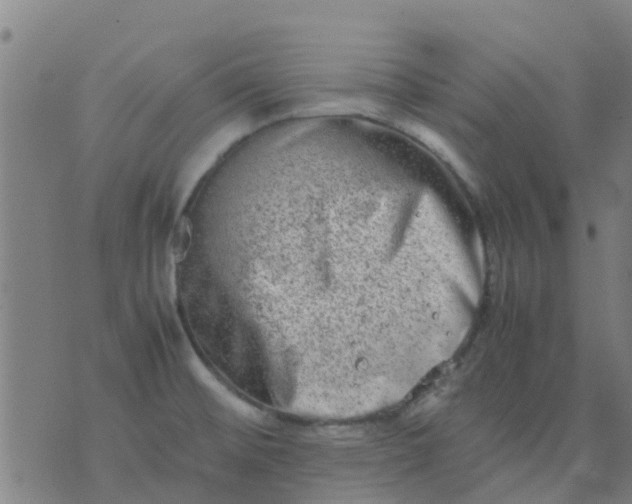 X0000074291476200609081839