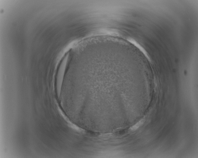 X0000074291477200609081839