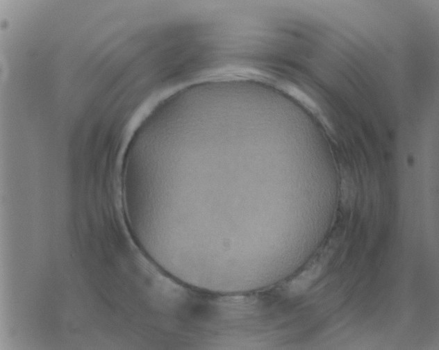 X0000074291478200609081839