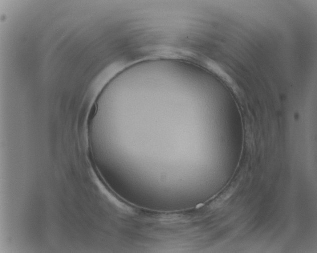 X0000074291479200609081839