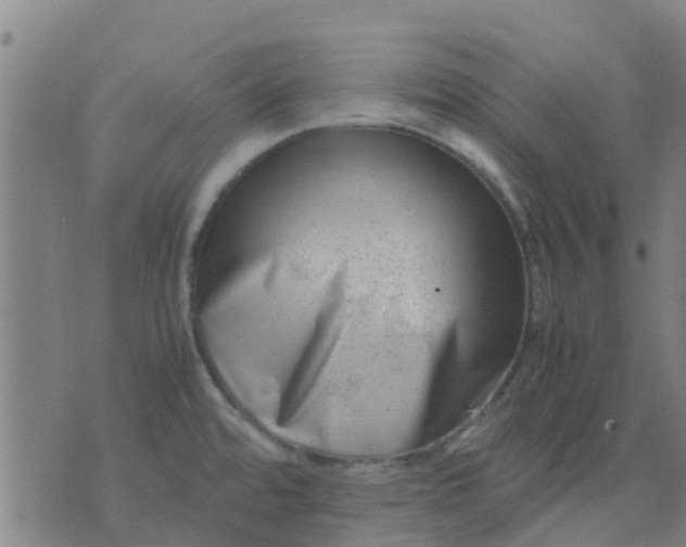 X0000074291480200609081839