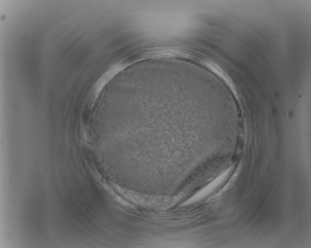 X0000074291481200609081839