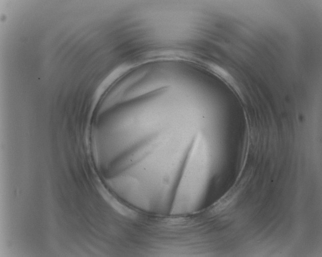 X0000074291482200609081839