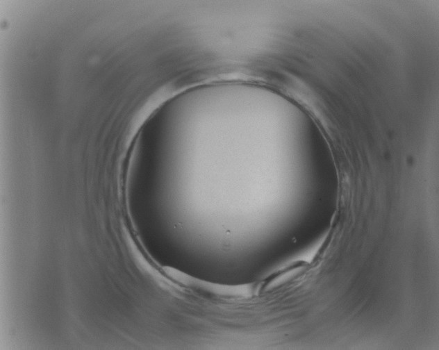 X0000074291483200609081839