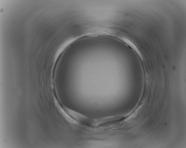 X0000074291485200609081839