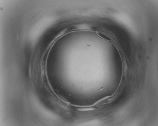 X0000074291487200609081839