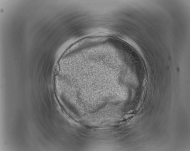 X0000074291488200609081839