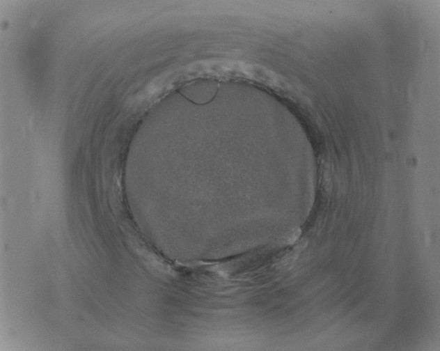 X0000074291489200609081838