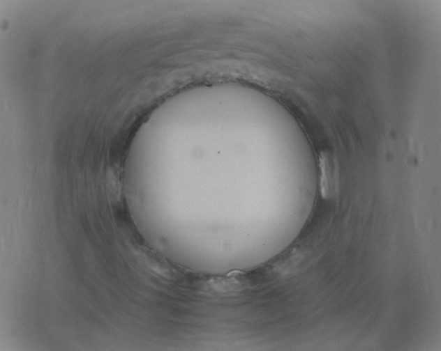 X0000074291491200609081839