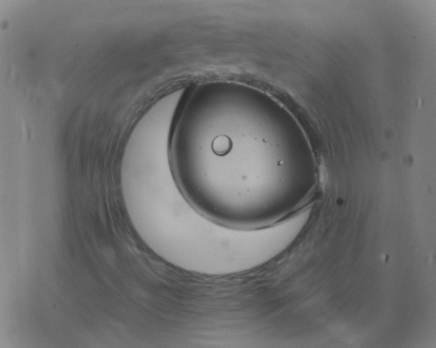 X0000074291492200609081839