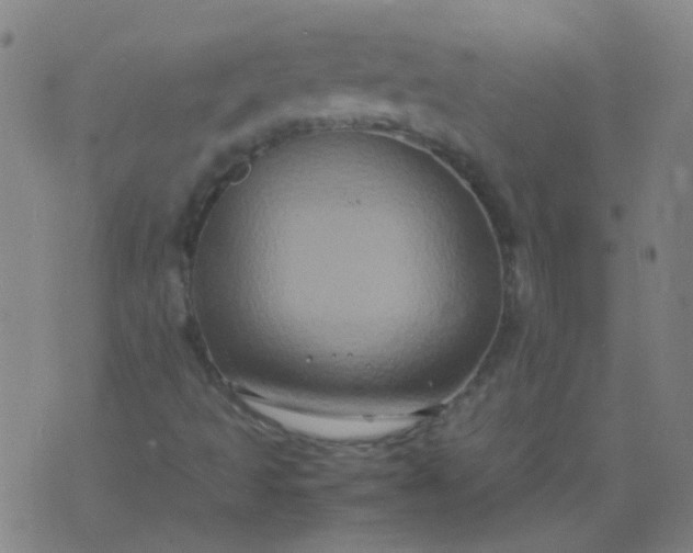 X0000074291493200609081839