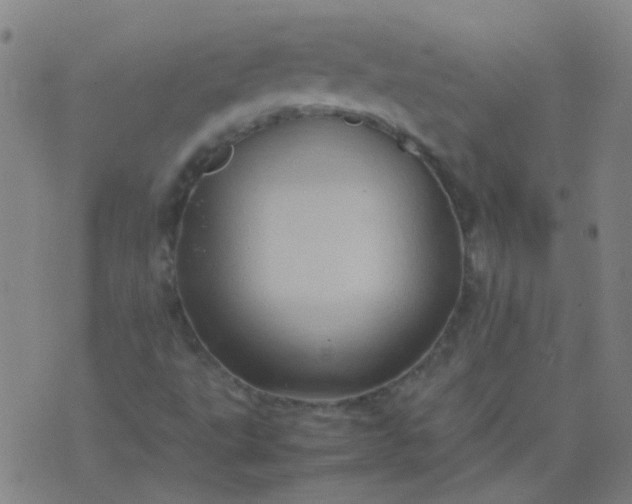 X0000074291495200609081839