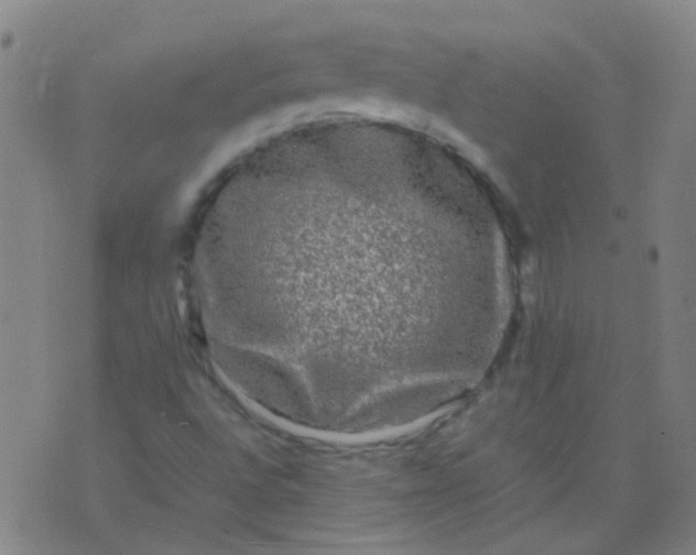 X0000074291496200609081839