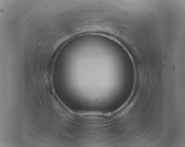 X0000074291497200609081839