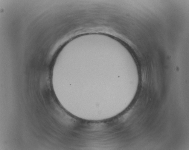 X0000074291498200609081839