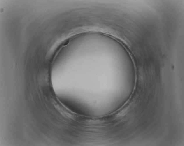 X0000074291499200609081839