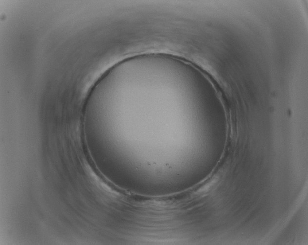 X0000074291500200609081839