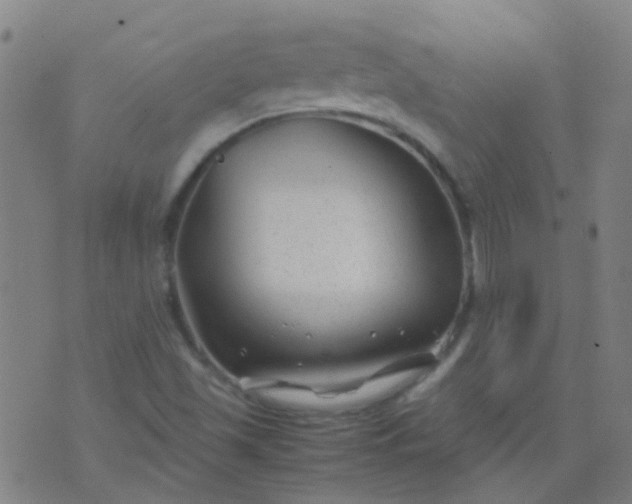 X0000074291501200609081839