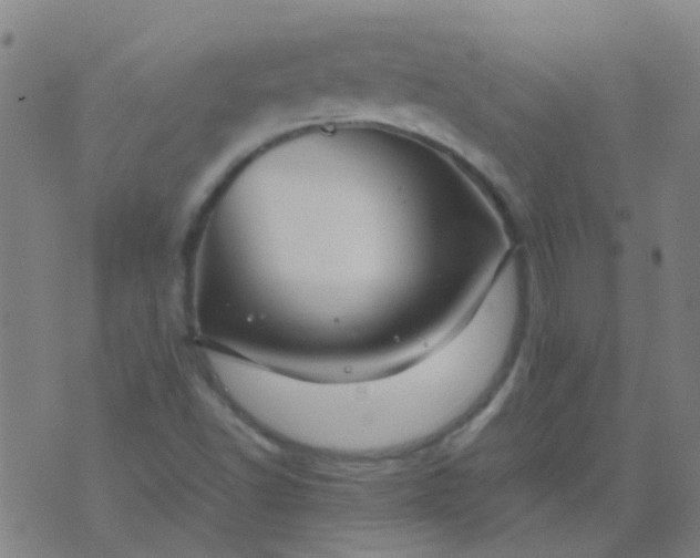 X0000074291502200609081839