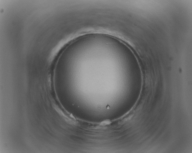 X0000074291503200609081839