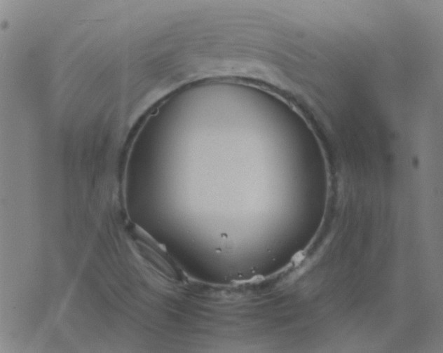 X0000074291505200609081839