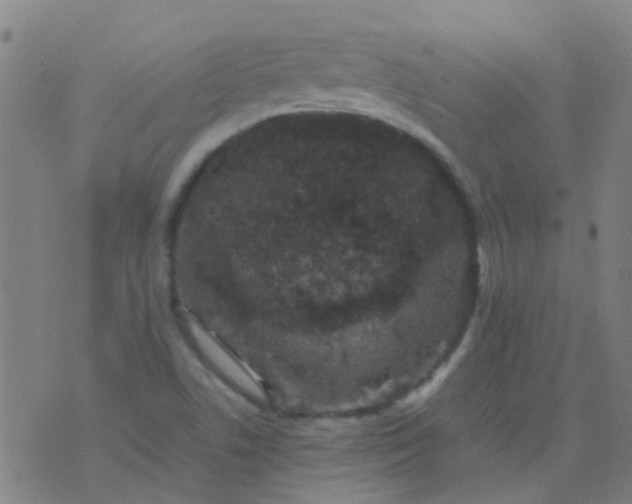 X0000074291506200609081839