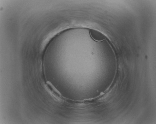 X0000074291507200609081839