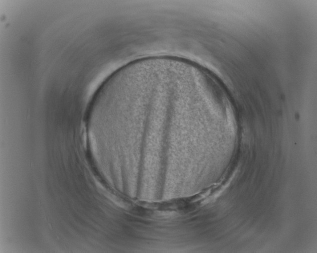 X0000074291509200609081839